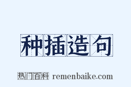 种插造句是什么意思的图片